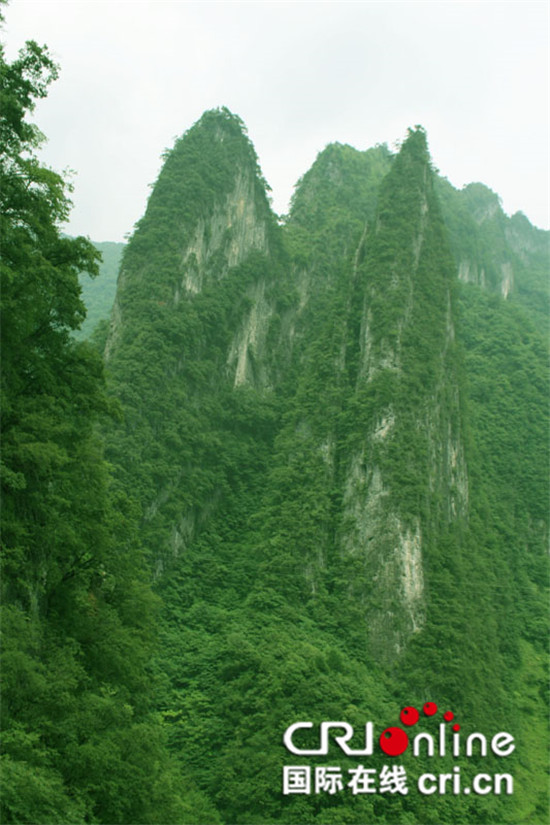 已过审【行游巴渝 标题摘要】重庆巫山南川获“全国森林旅游示范县”称号