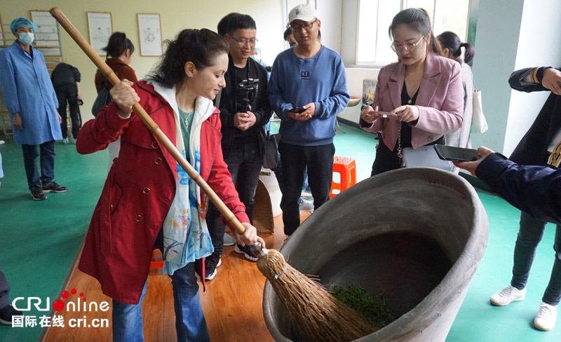 中外网红在信阳：赴一场茶香之旅 看“小茶叶”如何托起“大产业”_fororder_WechatIMG14251