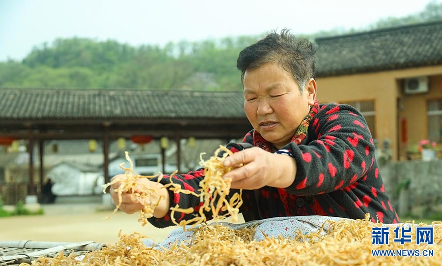 信阳新县：昔日破烂山 今日幸福塆