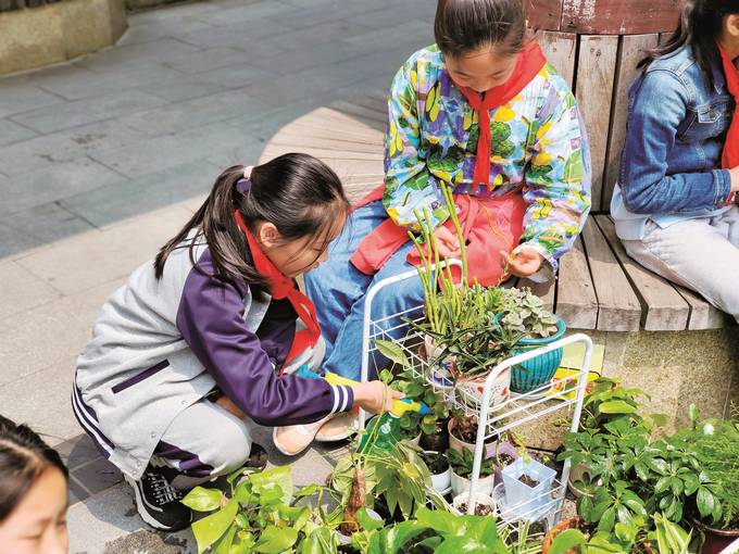 苏州学生体验劳动乐趣