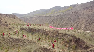 长庆油田采油六厂开展企地党建联盟“共植一片林”义务植树活动_fororder_33