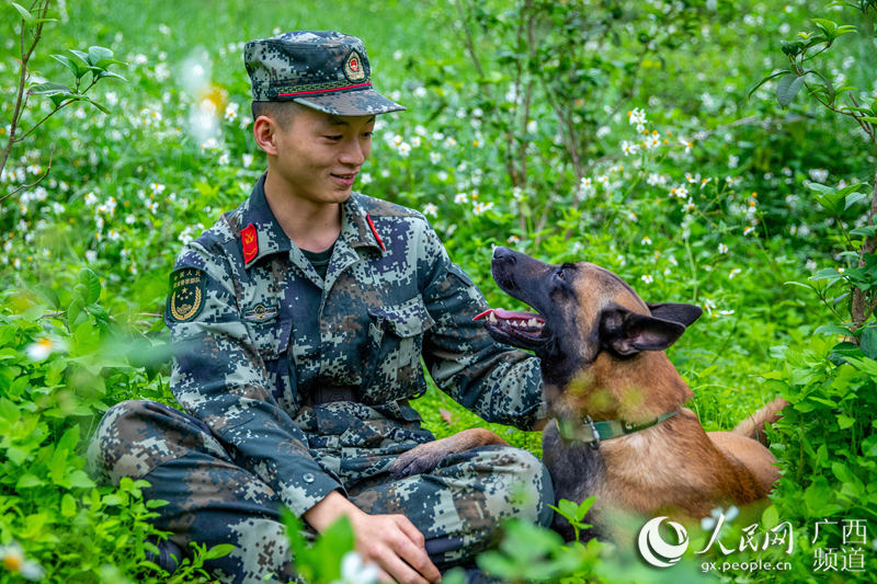 广西：清明节 致敬无言的功勋战友