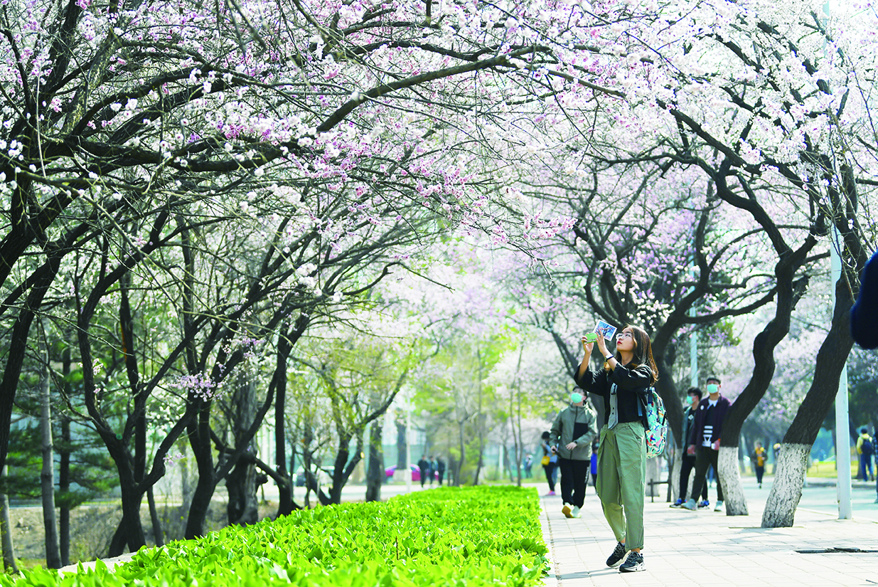 吉林大学第六届杏花文化节举办