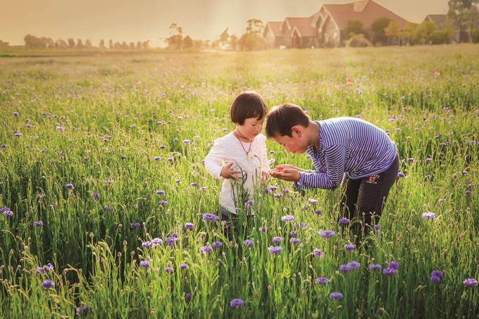 江苏省句容市：山水田园福地 宜居宜游名城