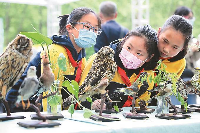 南京市“爱鸟周”活动启动