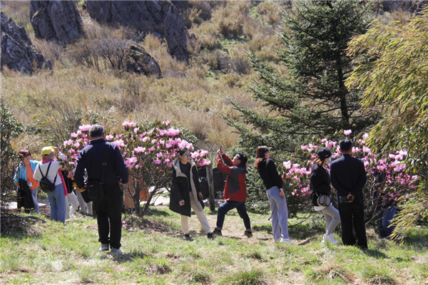 当杜鹃花节邂逅“五一”黄金周 神农架景区约你来打卡_fororder_图片2