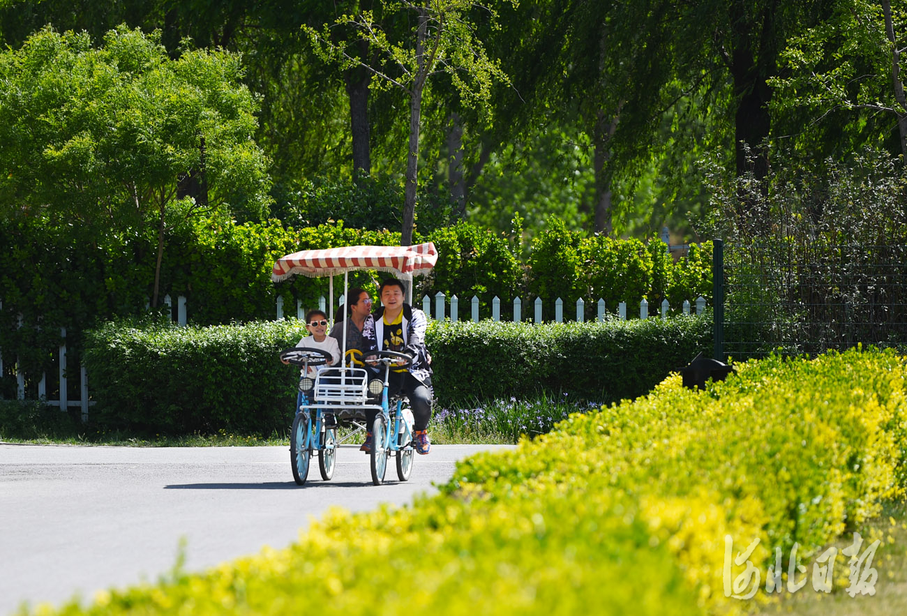 河北廊坊：建设风筝小镇 助力乡村振兴