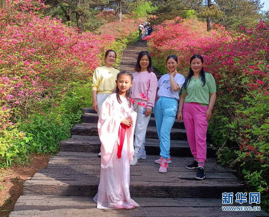 五一假期 湖北麻城龟峰山风景区杜鹃花海醉游人