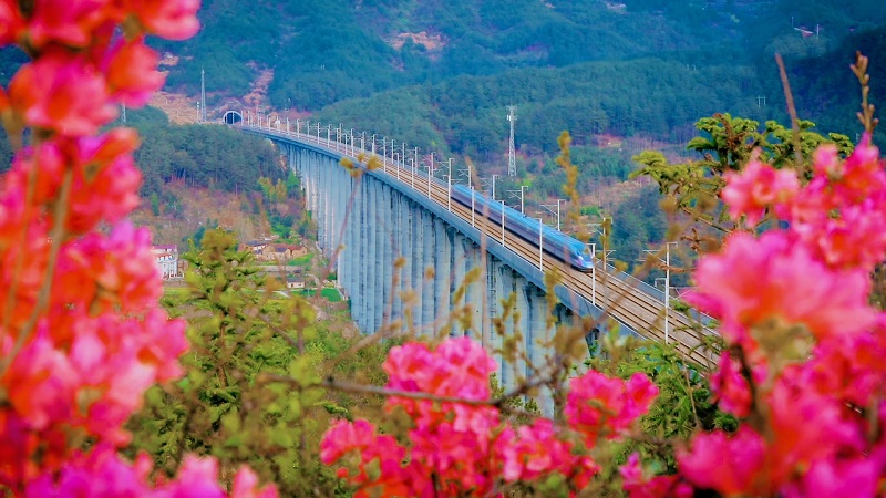 动车穿越大别山 铁路长廊美如画