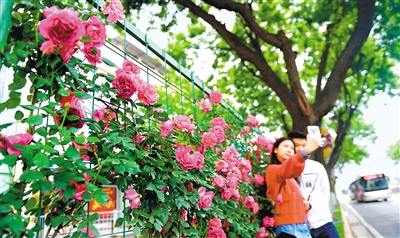 （转载）央视播出中国美好生活大调查颁奖典礼  西安市入选全国十大“向往之城”引关注