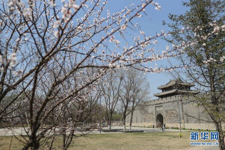 东北振兴城市行|让历史鲜活起来——一座千年古城的文化坚守_fororder_辽阳4