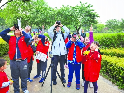 爱鸟周到来 “观鸟”趣旅程开启