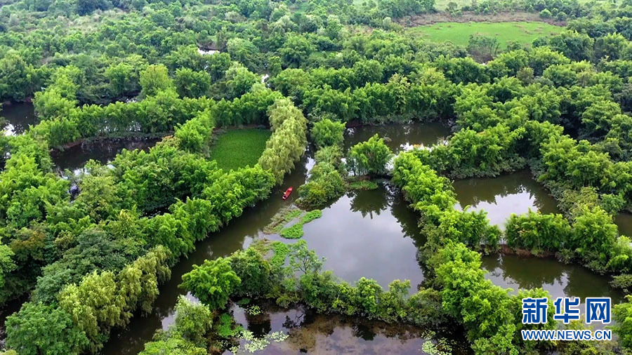 到桂林会仙湿地感受漓江流域生态之美