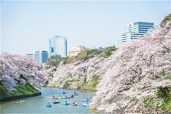 【东京旅游】东京千代田区开展“VISIT CHIYODA”项目 用外国人视角展现千代田魅力