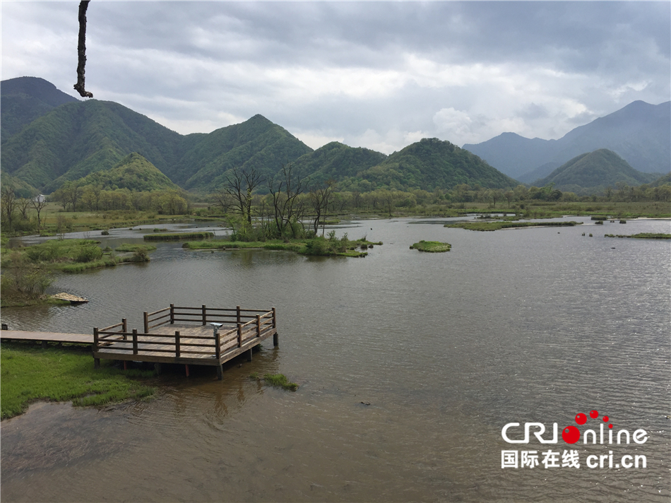 【壮丽70年·奋斗新时代】“云间湿地“——神农架大九湖