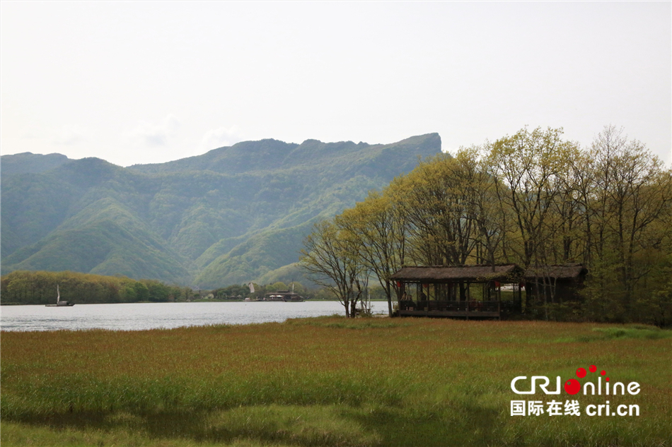 【壮丽70年·奋斗新时代】“云间湿地“——神农架大九湖