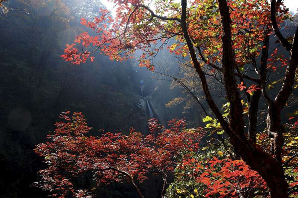 奇境栾川多彩季系列活动10月1日启动