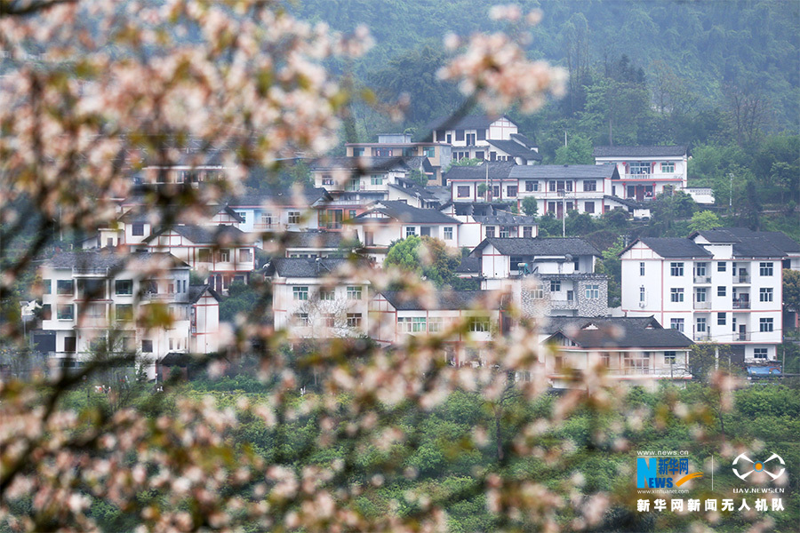 【城市远洋带图】古寨变景区 重庆600年土家院落的逆袭