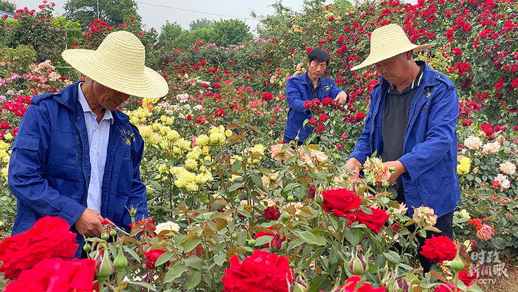 时政新闻眼丨习近平赴河南南阳考察，为何关注这些名人、名产？