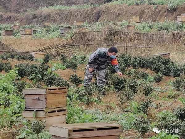 风卷红旗过大关 ——六盘水市夺取脱贫攻坚全面胜利纪实_fororder_19