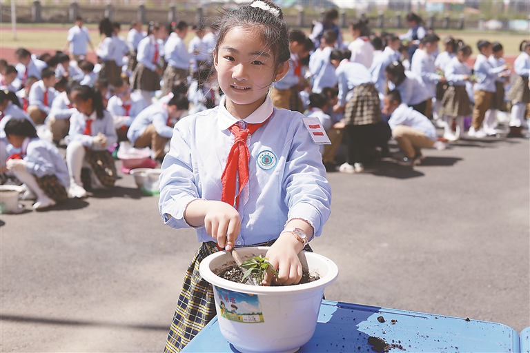 “远程同步种植”启动 哈尔滨市中小学生带种苗回家