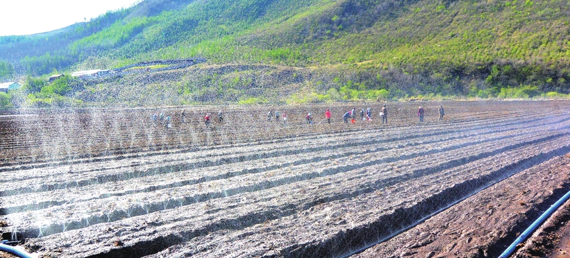 执“绿色”巨笔 绘生态画卷——白山市建设中国绿色有机谷·长白山森林食药城素描