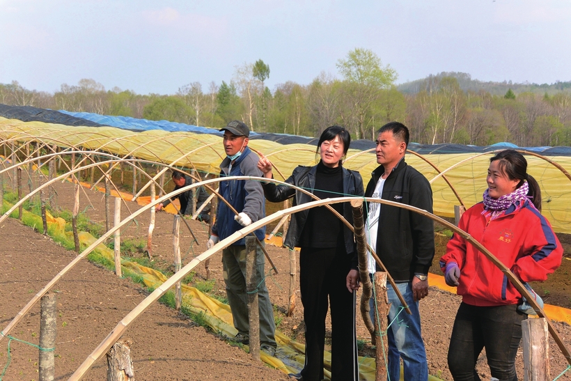 执“绿色”巨笔 绘生态画卷——白山市建设中国绿色有机谷·长白山森林食药城素描