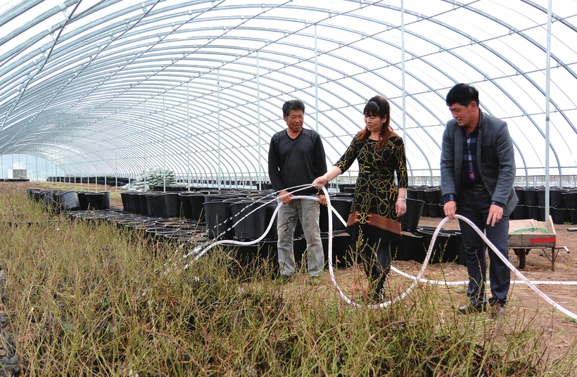 执“绿色”巨笔 绘生态画卷——白山市建设中国绿色有机谷·长白山森林食药城素描