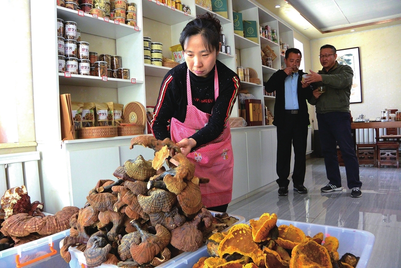 执“绿色”巨笔 绘生态画卷——白山市建设中国绿色有机谷·长白山森林食药城素描