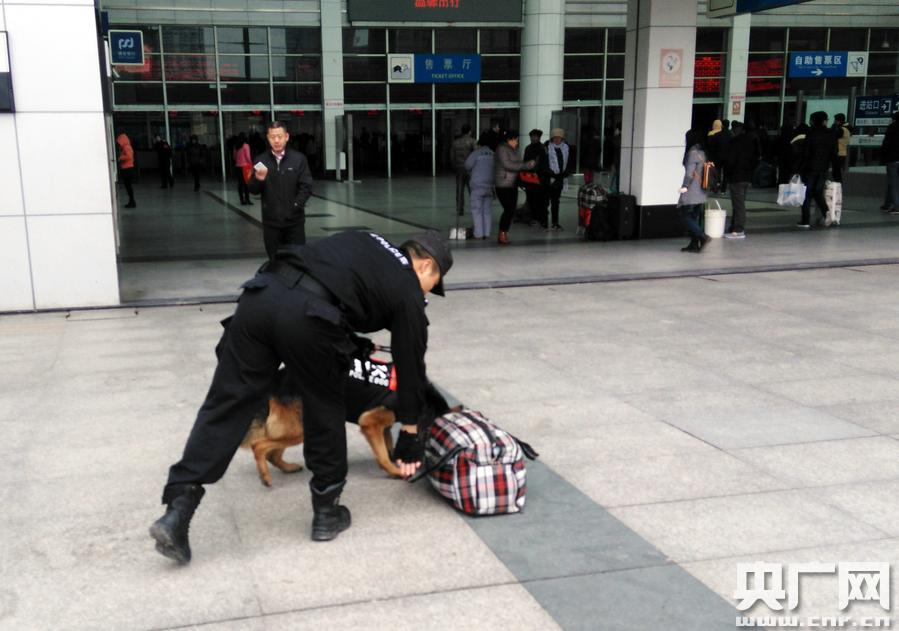 [网络媒体走转改]警犬靠气味“追踪”丢包失主