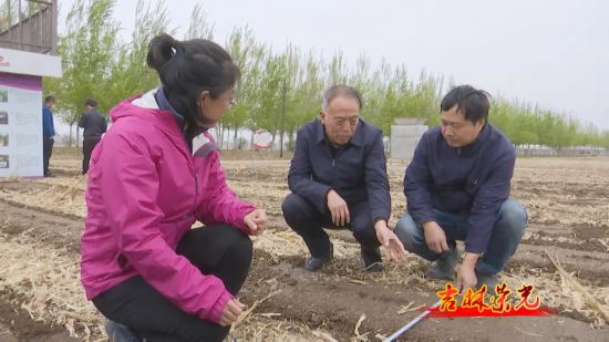 “梨树模式”团队 保护黑土地的教科书