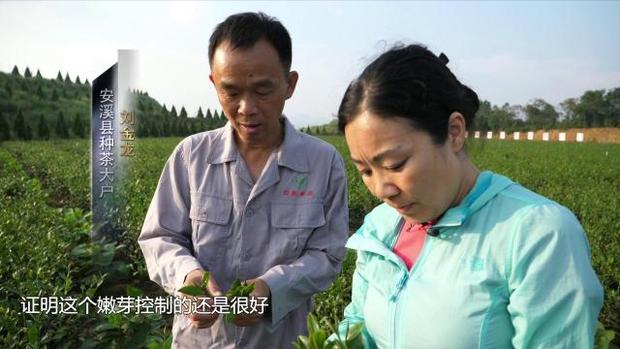 十九大代表廖红：和土壤“对话”的女科学家