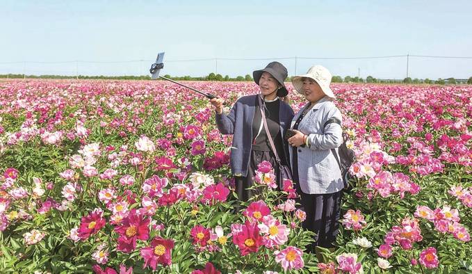 江苏：提升旅游体验 供给侧还需发力