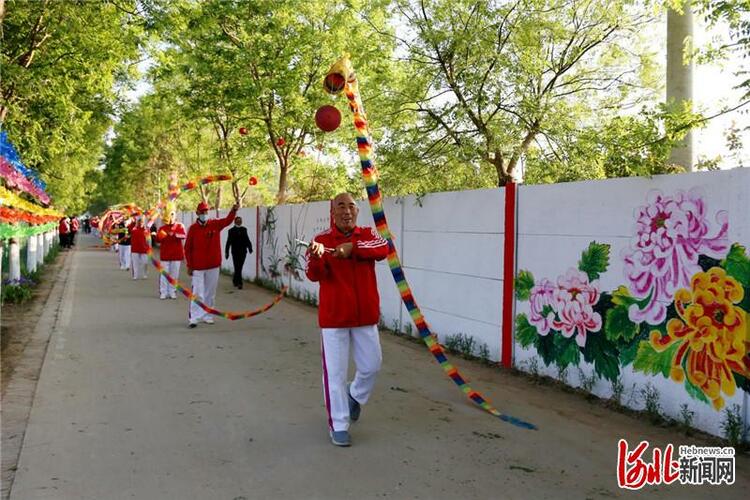 河北肃宁西泊庄村：牡丹花开迎客来