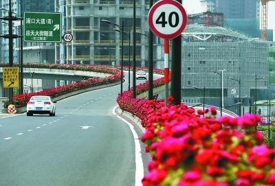 南京江北新区“一路花开”