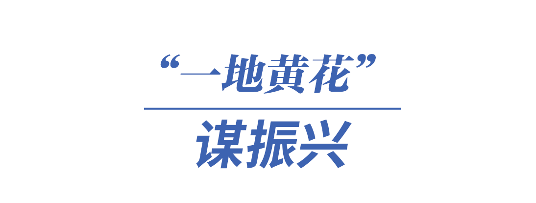 建设品牌强国，习近平这样要求