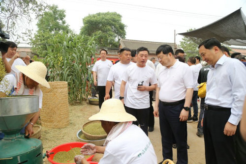 【河南供稿】小“碾馔”变成富民大产业 2019温县•古贤碾馔美食文化节开幕