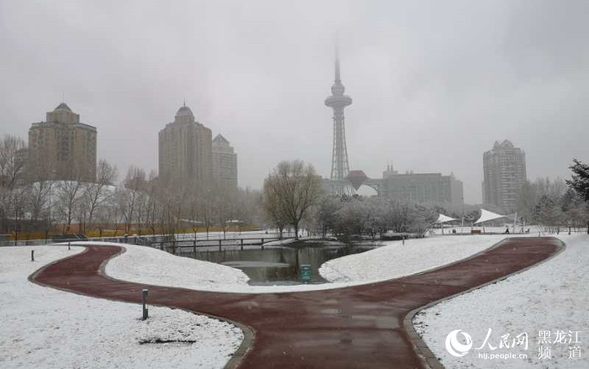 冰城四月迎春雪 最低气温跌至零下