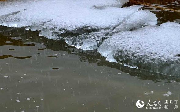 冰城四月迎春雪 最低气温跌至零下