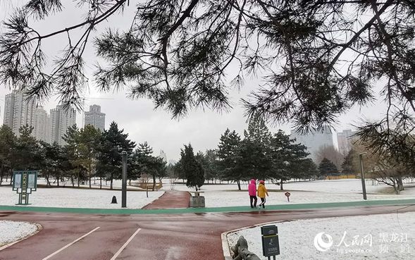 冰城四月迎春雪 最低气温跌至零下