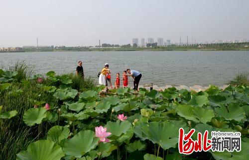 加强尾水资源化利用 河北“一点一滴”打造“节水之城”