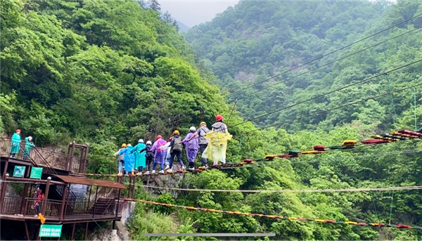 陕西省终南山寨景区乡村振兴：让“走出去”的人才“走回来”_fororder_图片100