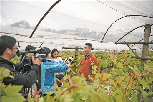 广西毛竹山村的幸福蝶变