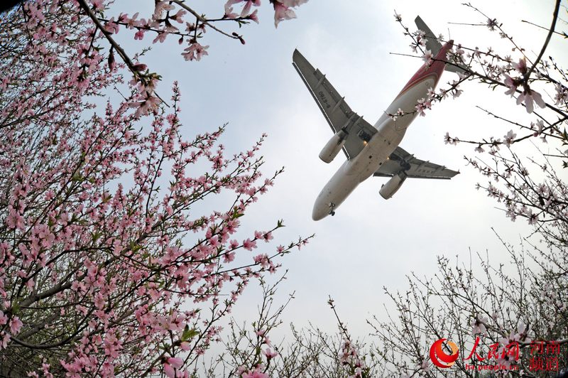 【轮播图】郑州搭建"空中丝绸之路" 覆盖3大洲100多个城市