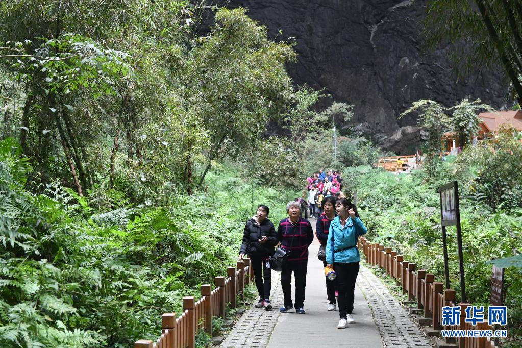 广西：走好生态脱贫路 让荒山披绿穷岭生金