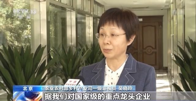 乡村振兴开新局 产业发展成绩亮眼！