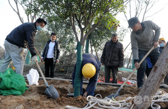 （转载）西安经开区：为绿色充“植” 给全运添绿