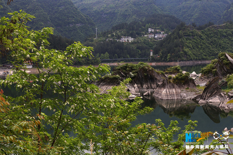 【城市远洋】重庆黔江：湖边槐花香 山村美如画