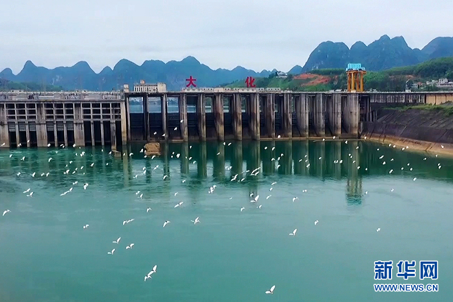 广西河池：碧水绕城白鹭飞