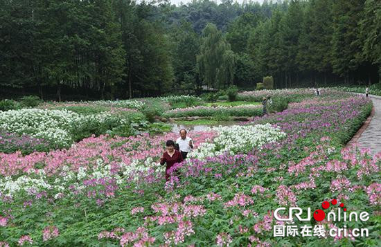 已过审【行游巴渝 图文】两江新区双节旅游吸引60万游客前往